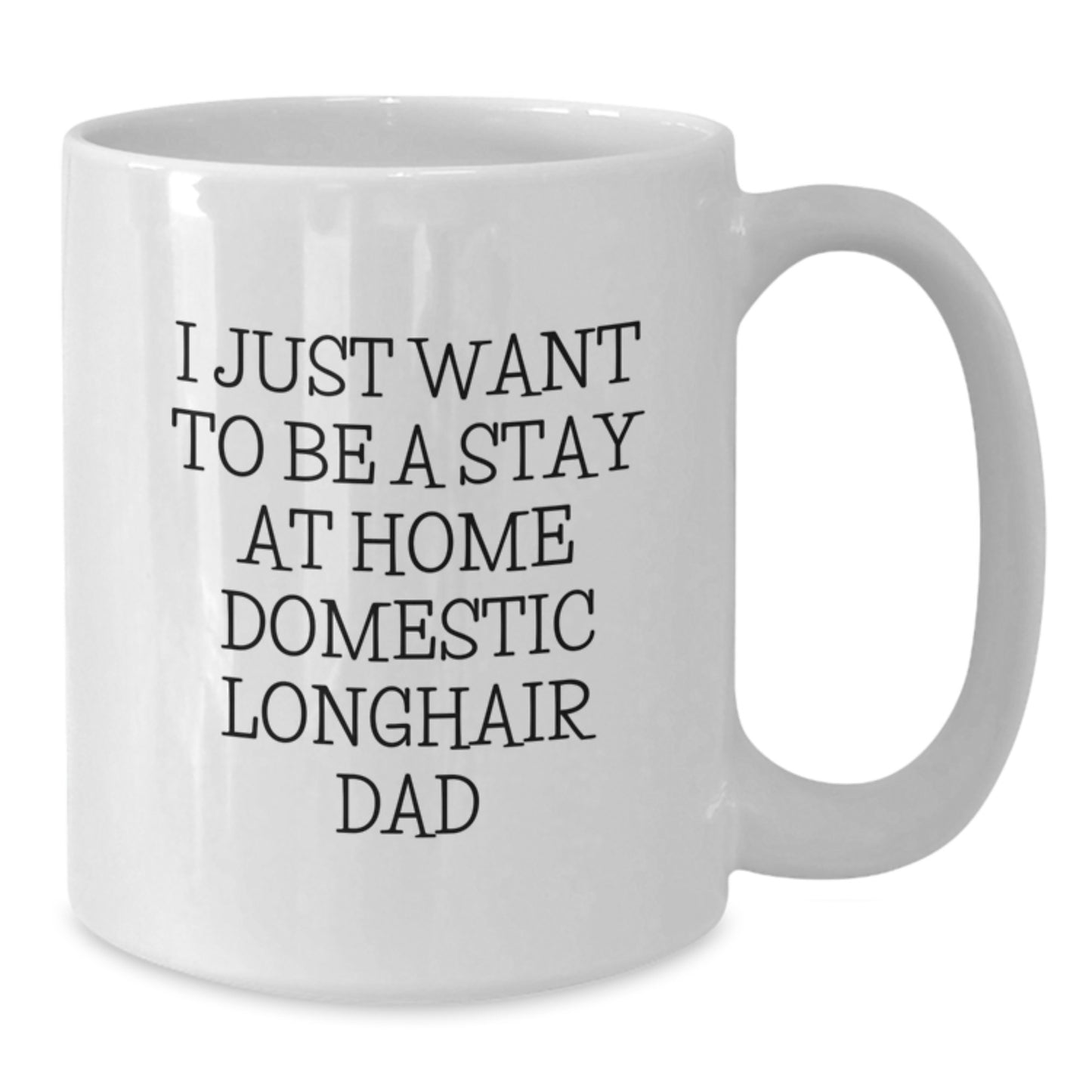 Funny Domestic Longhair Cat Gifts for Him, I Just Want To Be A Stay At Home Domestic Longhair Dad Birthday Unique Mug - Additional