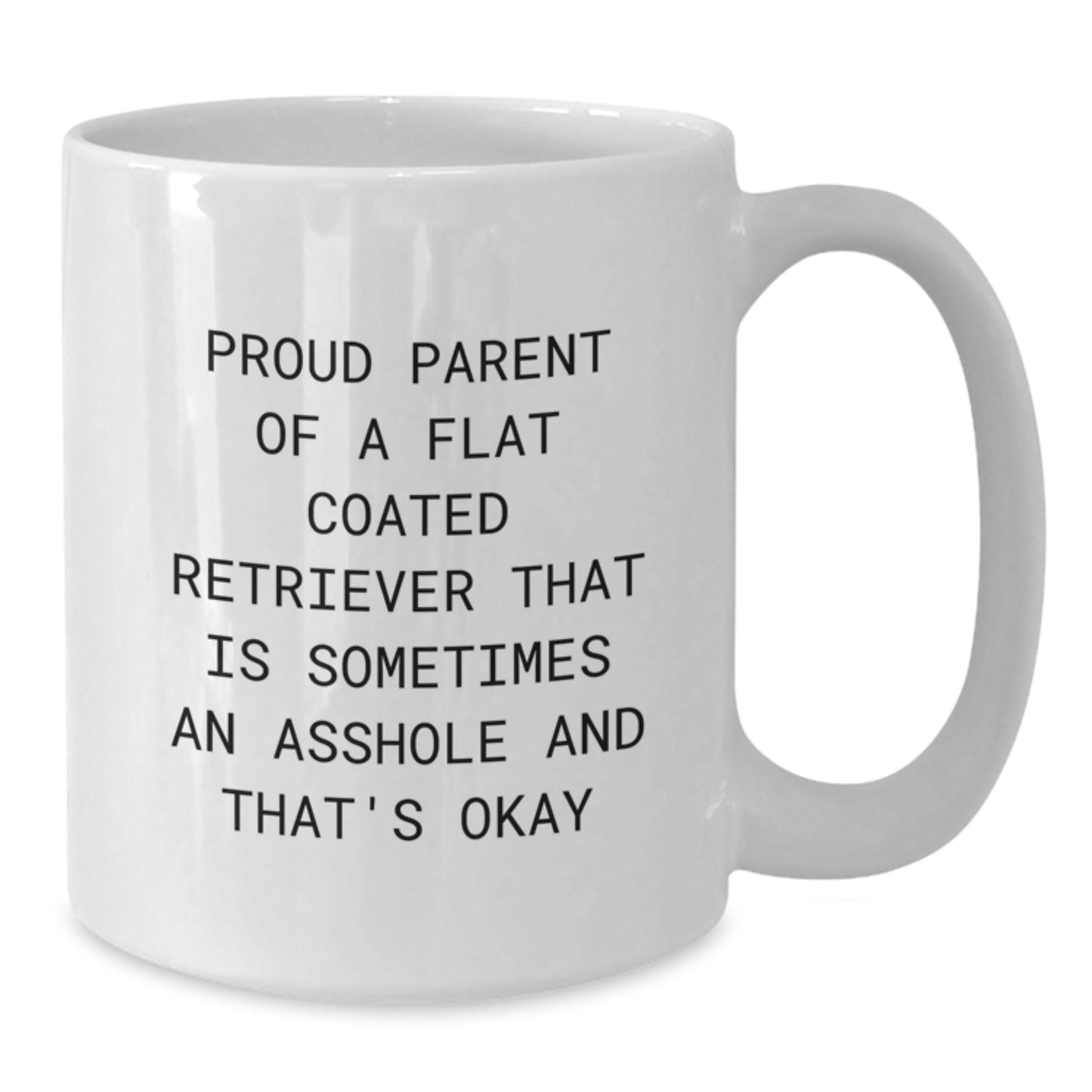 Proud Flat Coated Retriever Dog Parent Gifts from Friends for Birthday, Funny Quote White Coffee Mug - Additional