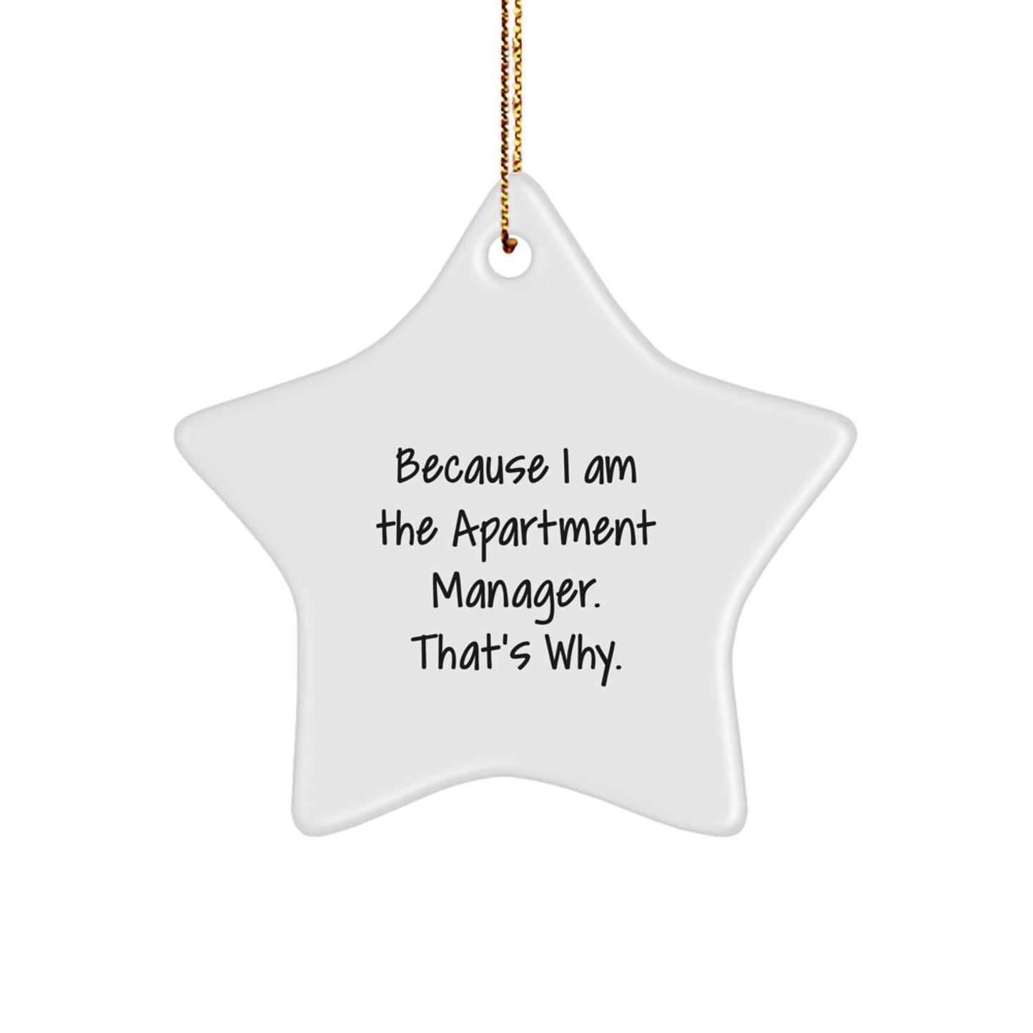 Funny Star Ornament Gifts from Apartment Manager Friends and Family, Christmas Unique Gifts for Men Women Coworkers, Inspirational Quotes Star Decoration - Image 1