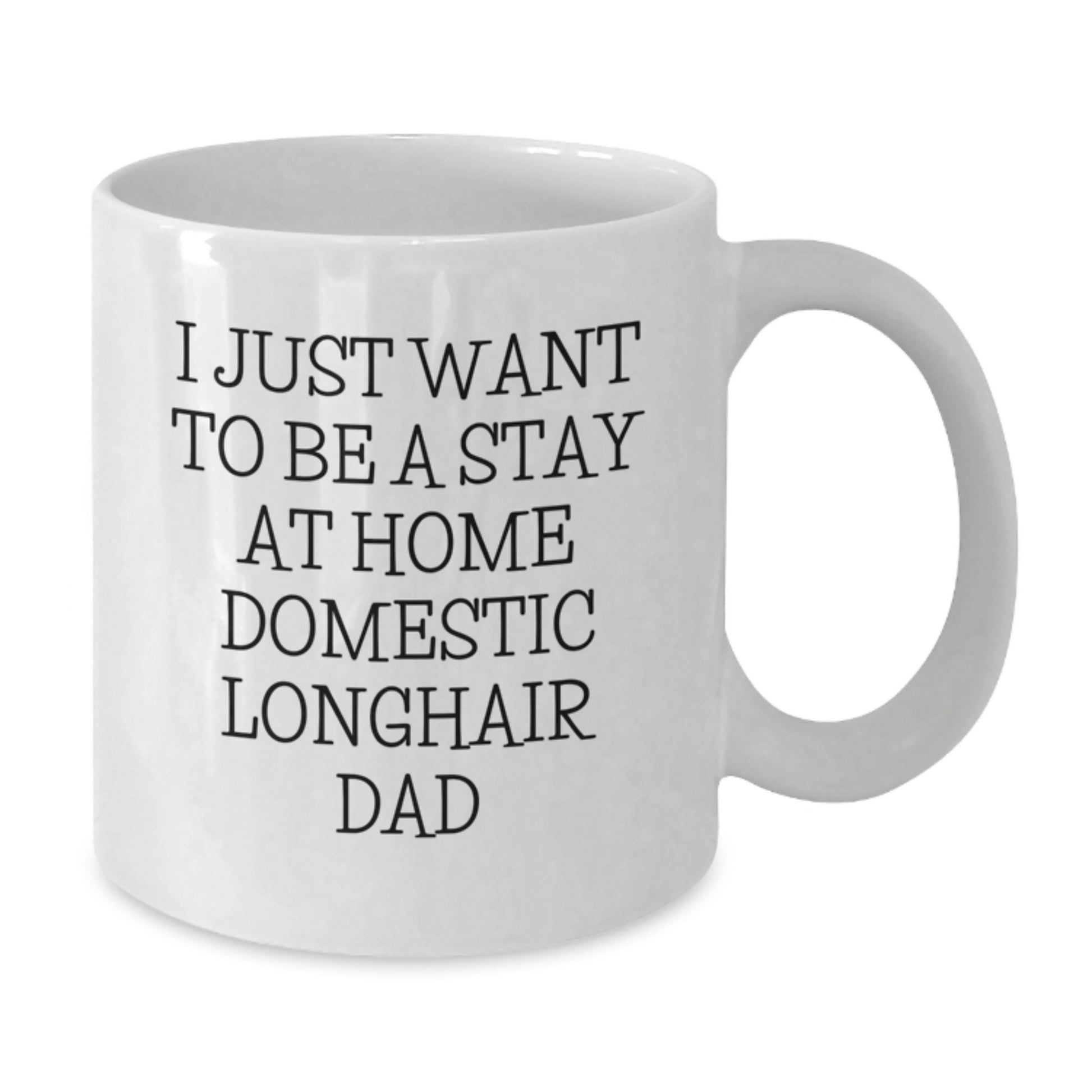 Funny Domestic Longhair Cat Gifts for Him, I Just Want To Be A Stay At Home Domestic Longhair Dad Birthday Unique Mug - Additional