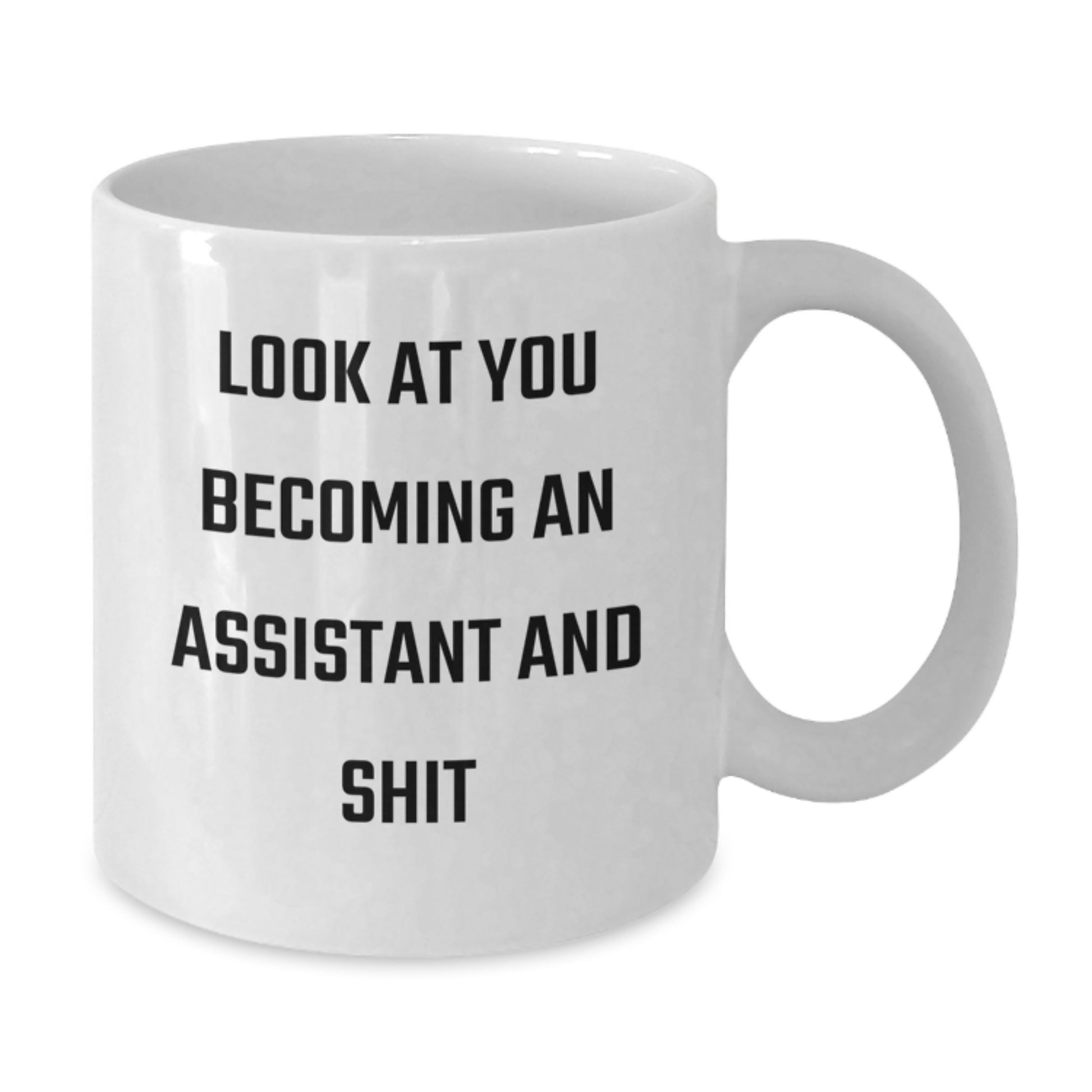Funny Assistant White Coffee Mugs Gifts from Friends and Family for Assistants, Unique Christmas Unique Gifts, White Coffee Mug with 'Look At You Becoming An Assistant And Shit' Quote - Additional