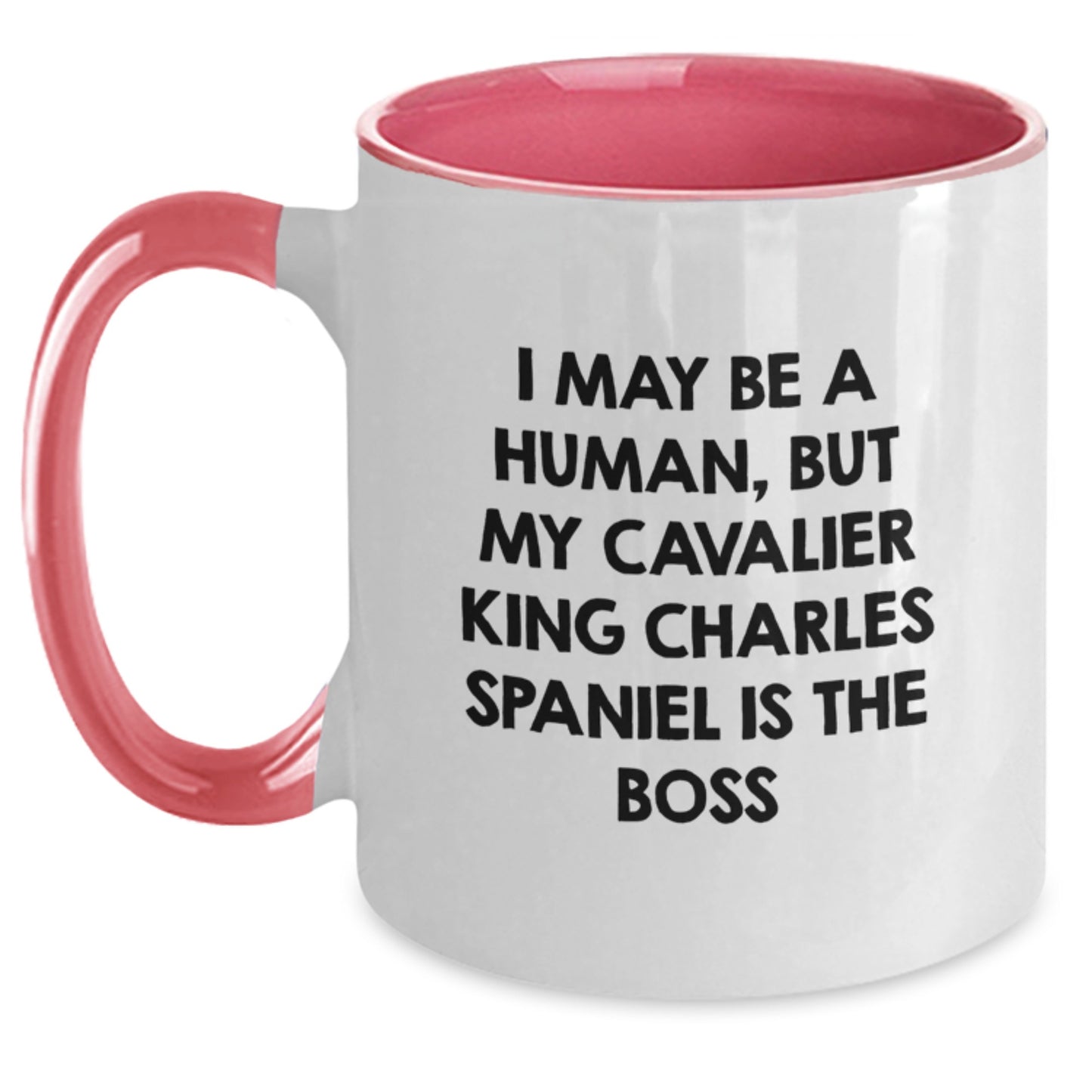 Funny Cavalier King Charles Spaniel Dog Gifts from Friends for Birthday Unique Mugs - I May Be A Human, But My Cavalier King Charles Spaniel Is The Boss - Main