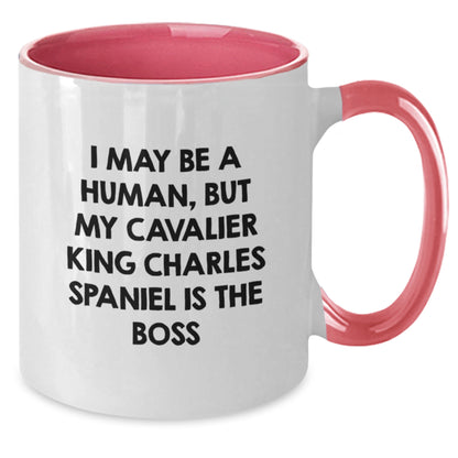 Funny Cavalier King Charles Spaniel Dog Gifts from Friends for Birthday Unique Mugs - I May Be A Human, But My Cavalier King Charles Spaniel Is The Boss - Additional