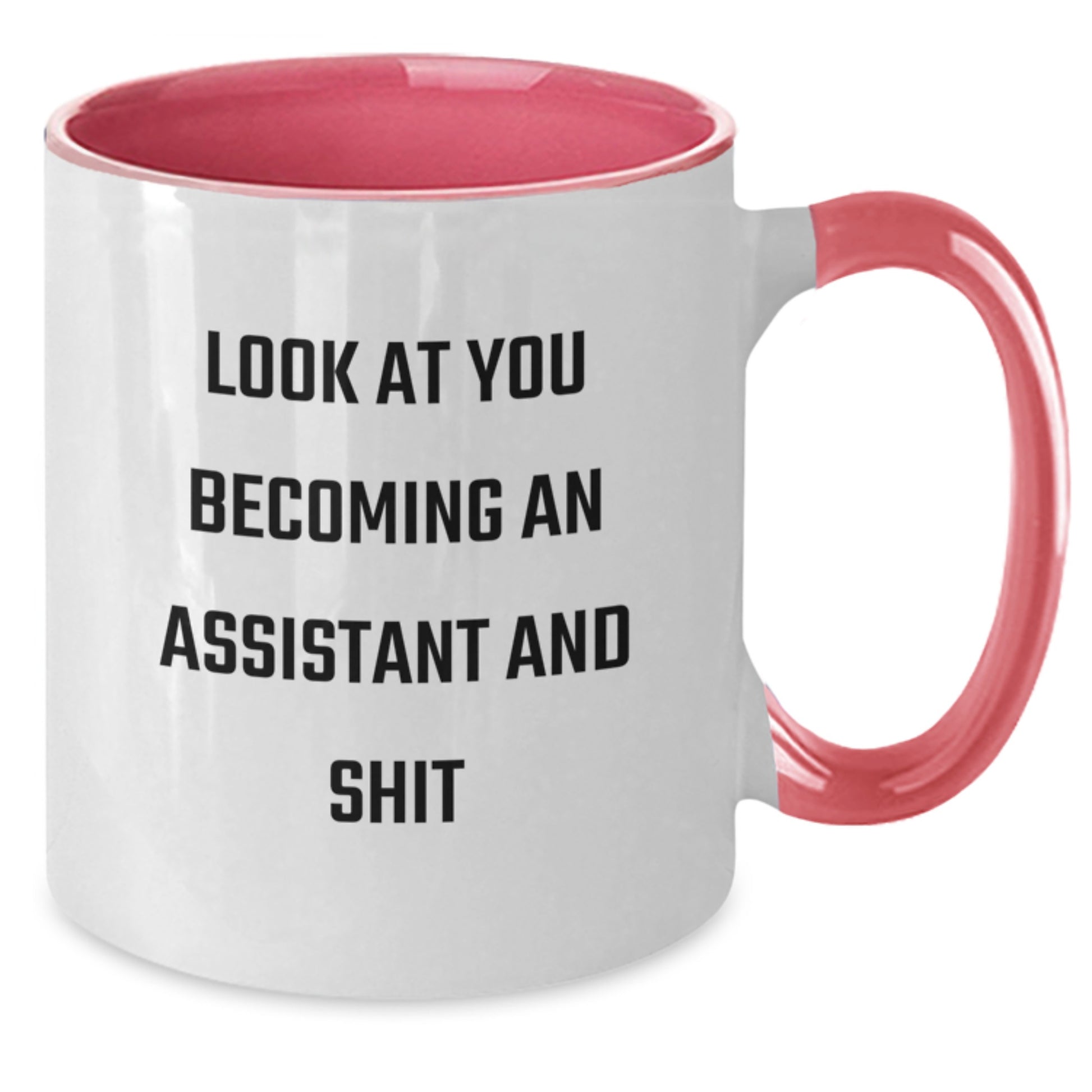 Funny Assistant Gifts from Friends and Family for Christmas Unique Two Tone Coffee Mug Look At You Becoming An Assistant And Shit - Additional