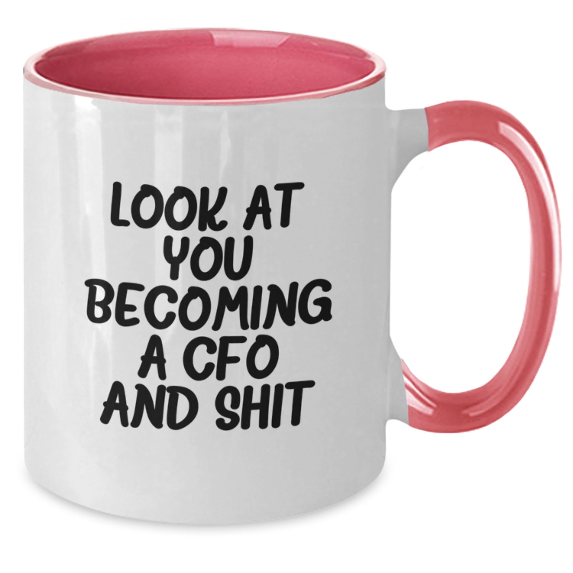 Funny CFO Gifts from Friends for Men - Look At You Becoming A CFO - Two Tone Coffee Mug - Additional