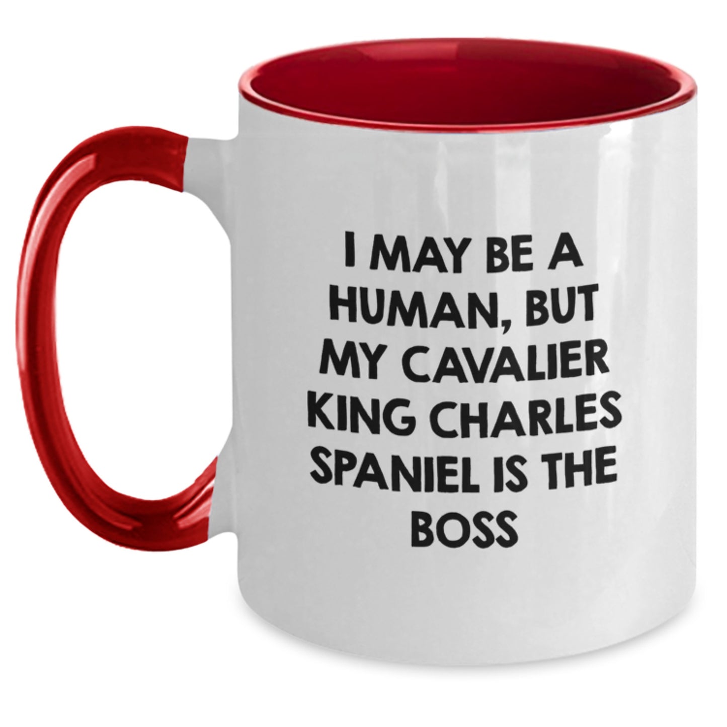 Funny Cavalier King Charles Spaniel Dog Gifts from Friends for Birthday Unique Mugs - I May Be A Human, But My Cavalier King Charles Spaniel Is The Boss - Main