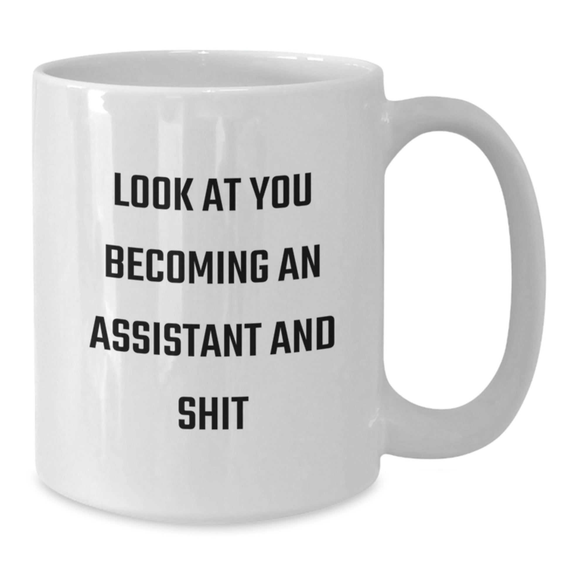 Funny Assistant White Coffee Mugs Gifts from Friends and Family for Assistants, Unique Christmas Unique Gifts, White Coffee Mug with 'Look At You Becoming An Assistant And Shit' Quote - Additional