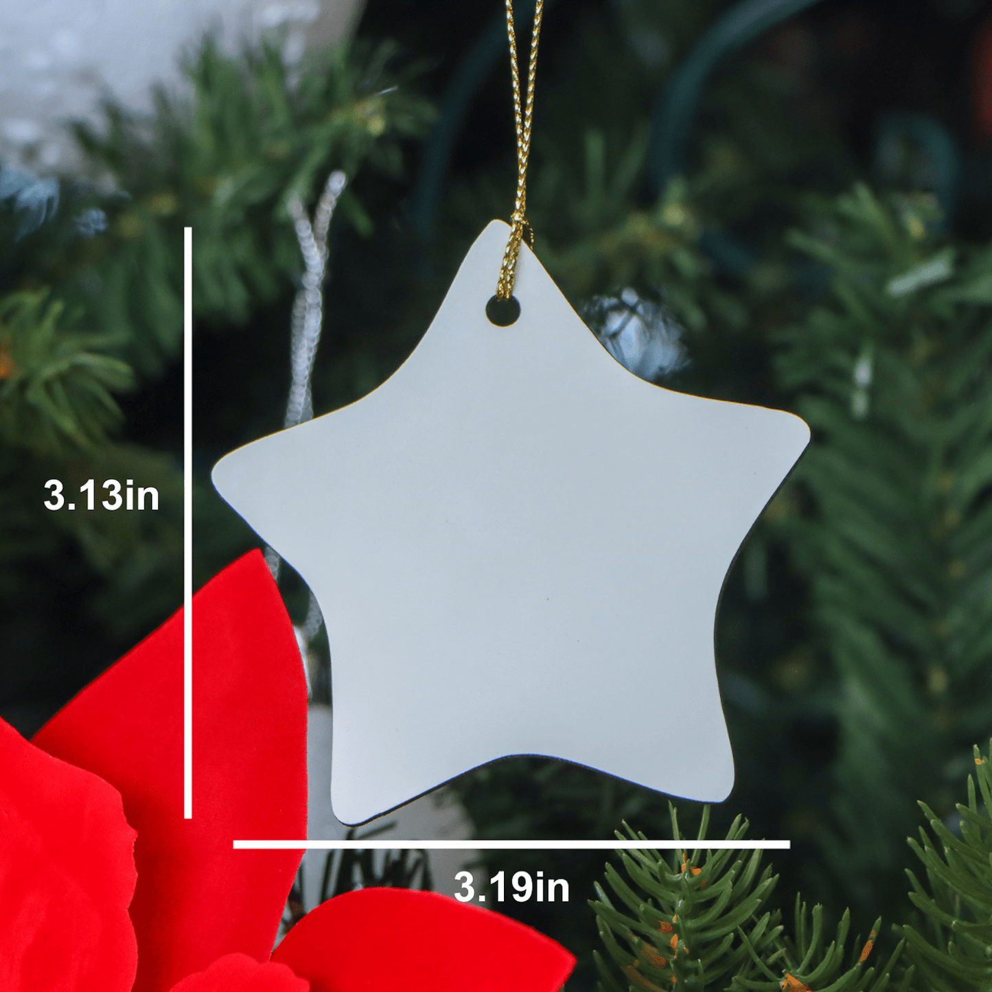 Radiation Therapist Funny Star Ornament Gifts for Men from Friends, Unique Christmas Decorations with Inspirational Quote small / White