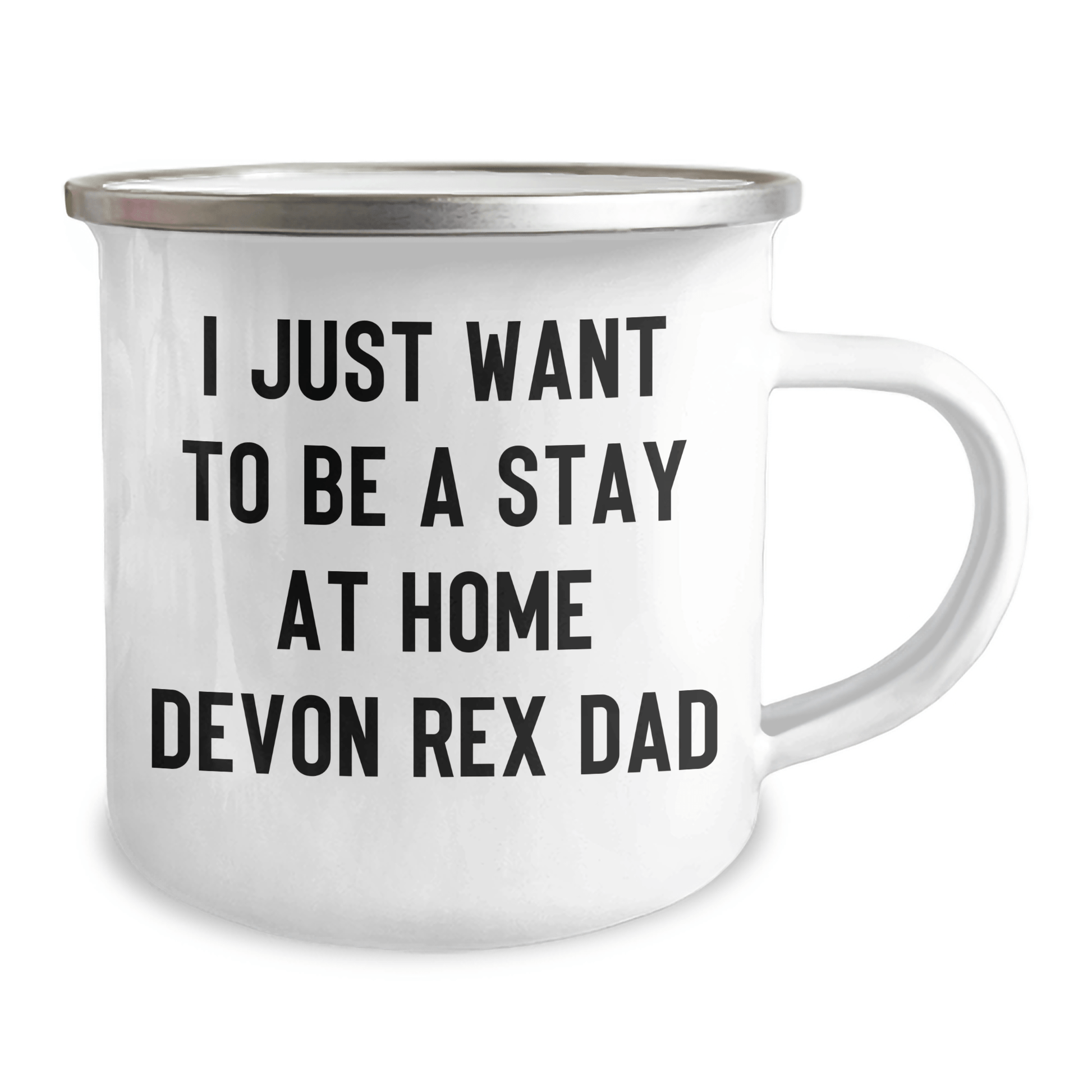 Funny Devon Rex Cat Dad Camping Mug Gifts from Men to Friends for Father's Day - I Just Want To Be A Stay At Home Dad Quote 12oz / White