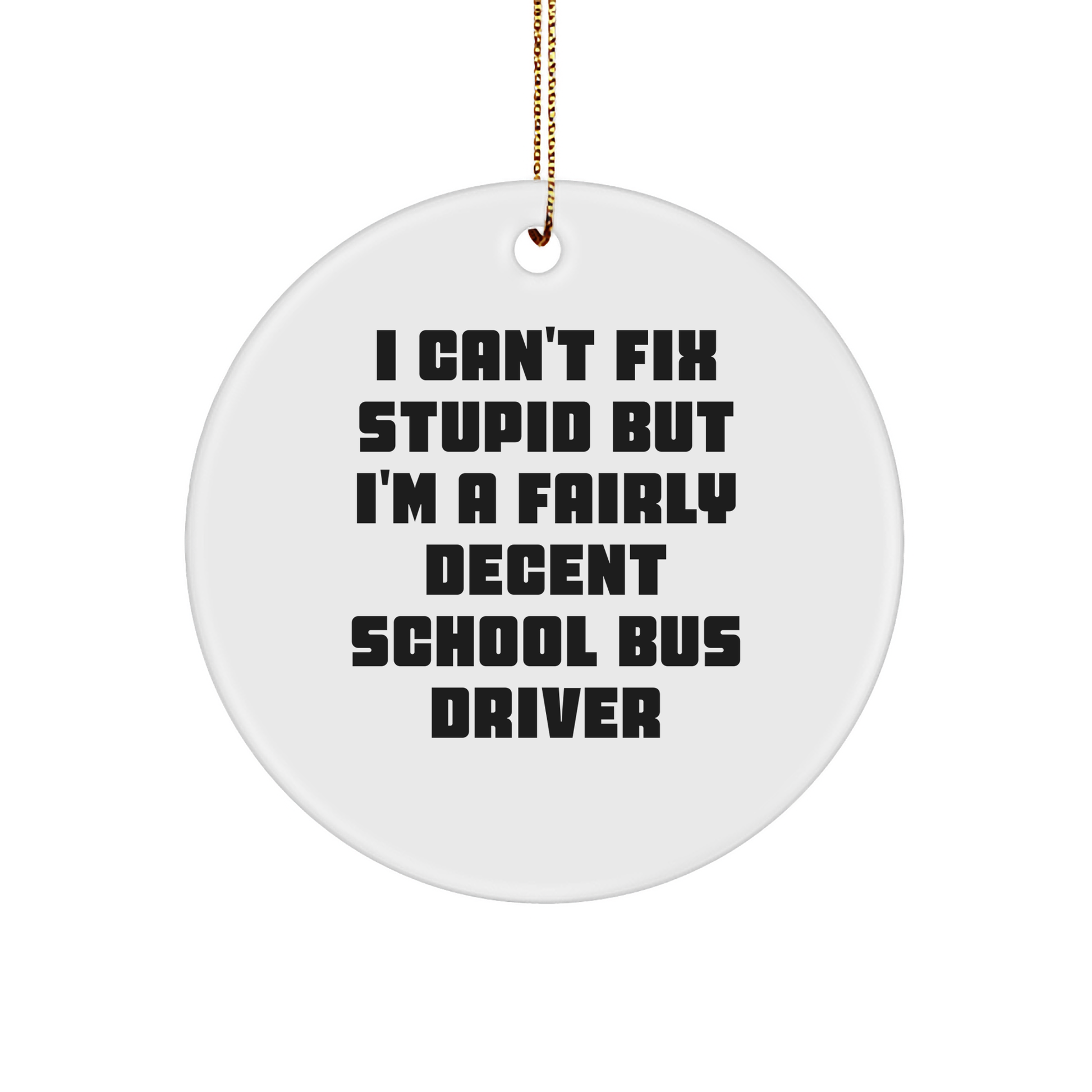 Funny School Bus Driver Gifts from Friends - I Can't Fix Stupid But I'm A Fairly Decent Circle Ornament for School Bus Driver's Christmas - Image 1