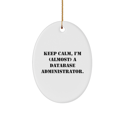 Database Administrator Oval Ornament, Keep Calm, I'm (almost) A Database Administrator., Funny Christmas Unique Gift for Men, Women, Coworkers, Family, Friends small / White