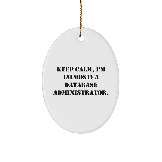 Database Administrator Oval Ornament, Keep Calm, I'm (almost) A Database Administrator., Funny Christmas Unique Gift for Men, Women, Coworkers, Family, Friends small / White