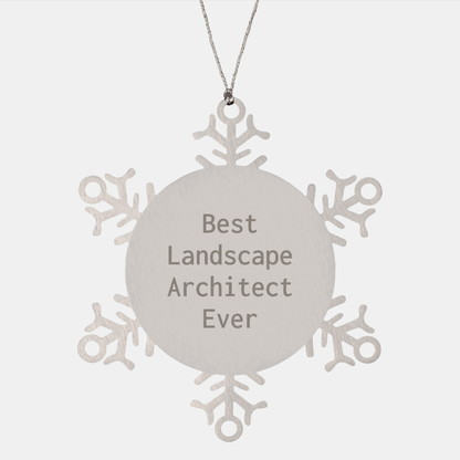 Funny Snowflake Ornaments Gifts for Landscape Architects from Friends, Best Landscape Architect Ever small / Silver