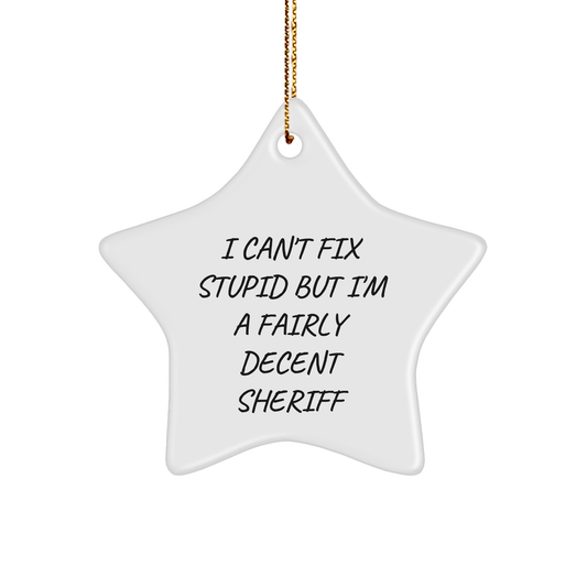 Funny Sheriff Gifts, 'I Can't Fix Stupid But I'm A Fairly Decent Sheriff' Star Ornament for Men, Christmas Unique Gifts from Friends small / White