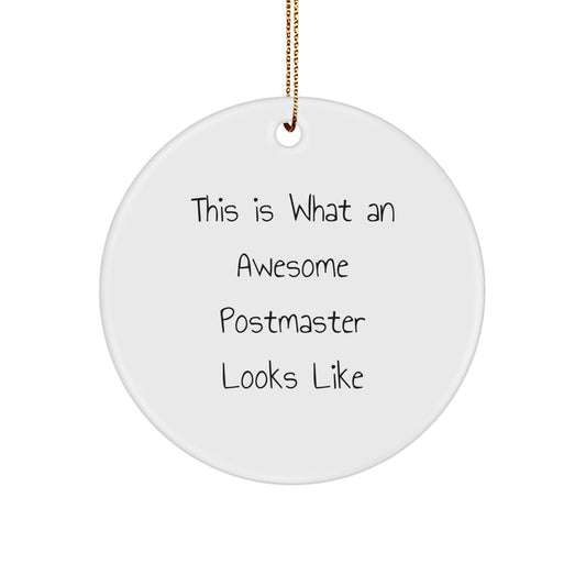 Funny Postmaster Gifts from Friends - This Is What An Awesome Postmaster Looks Like - Circle Ornament for Christmas - Image 1