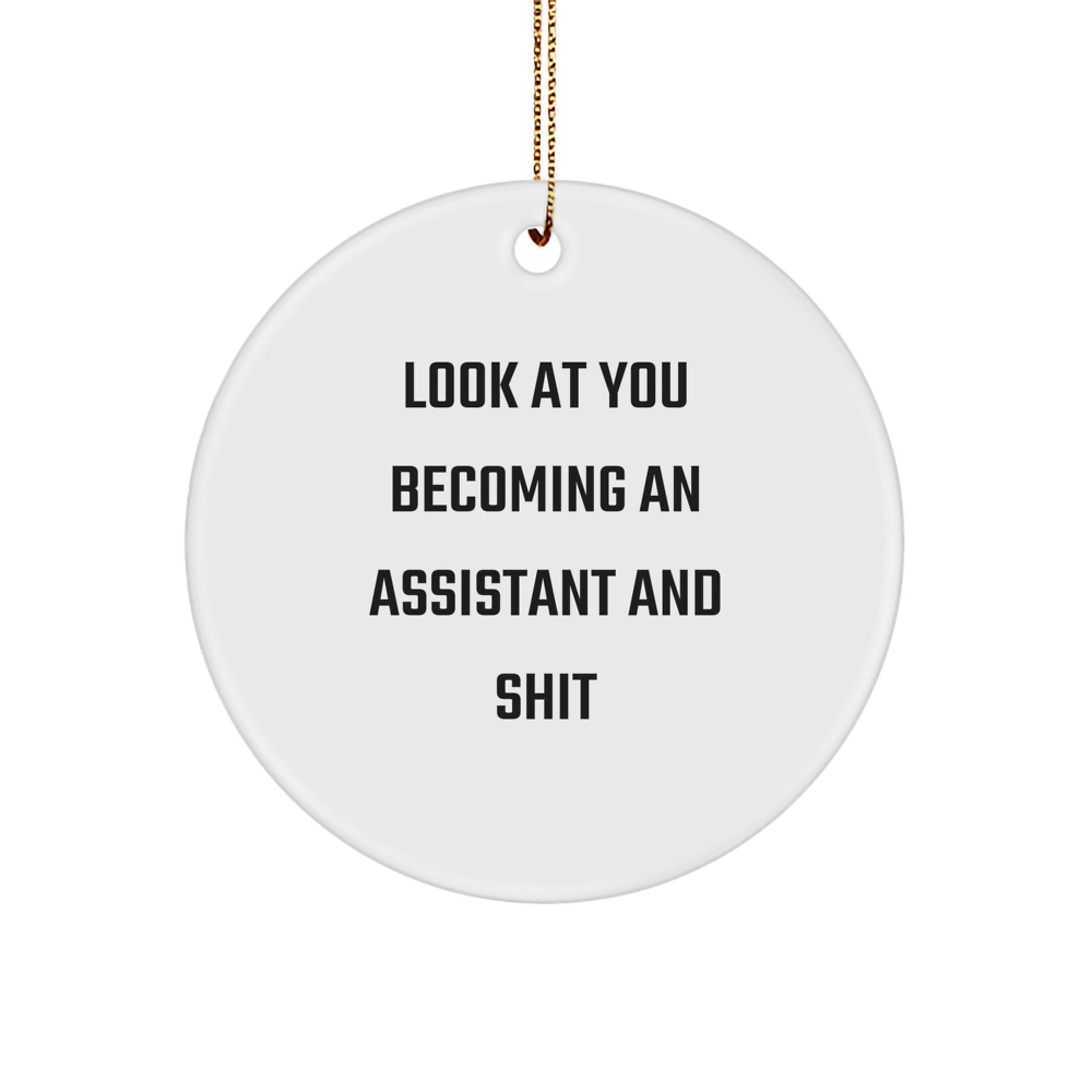 assistant gifts from men for christmas unique ornaments - 'Look At You Becoming An Assistant And Shit' - Image 1