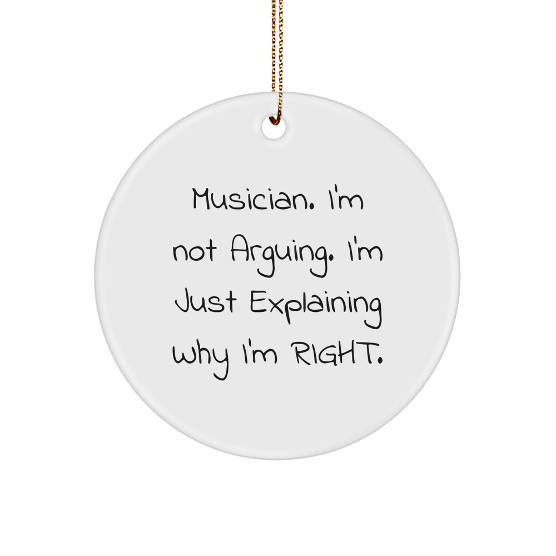 Funny Musician Circle Ornament Gifts from Friends for Musician Christmas Unique Gifts - Image 1