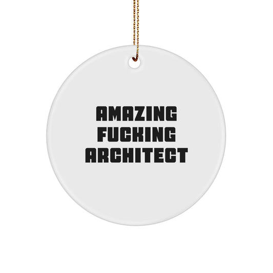 Funny Architect Christmas Unique Gift Circle Ornament for Men, Women, Friends, or Coworkers from Amazing Funny Architect - Image 1