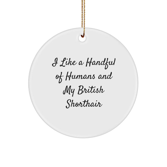 British Shorthair Cat Lovers, Funny Gifts for You, Circle Ornament 'I Like A Handful Of Humans And My British Shorthair' - Image 1