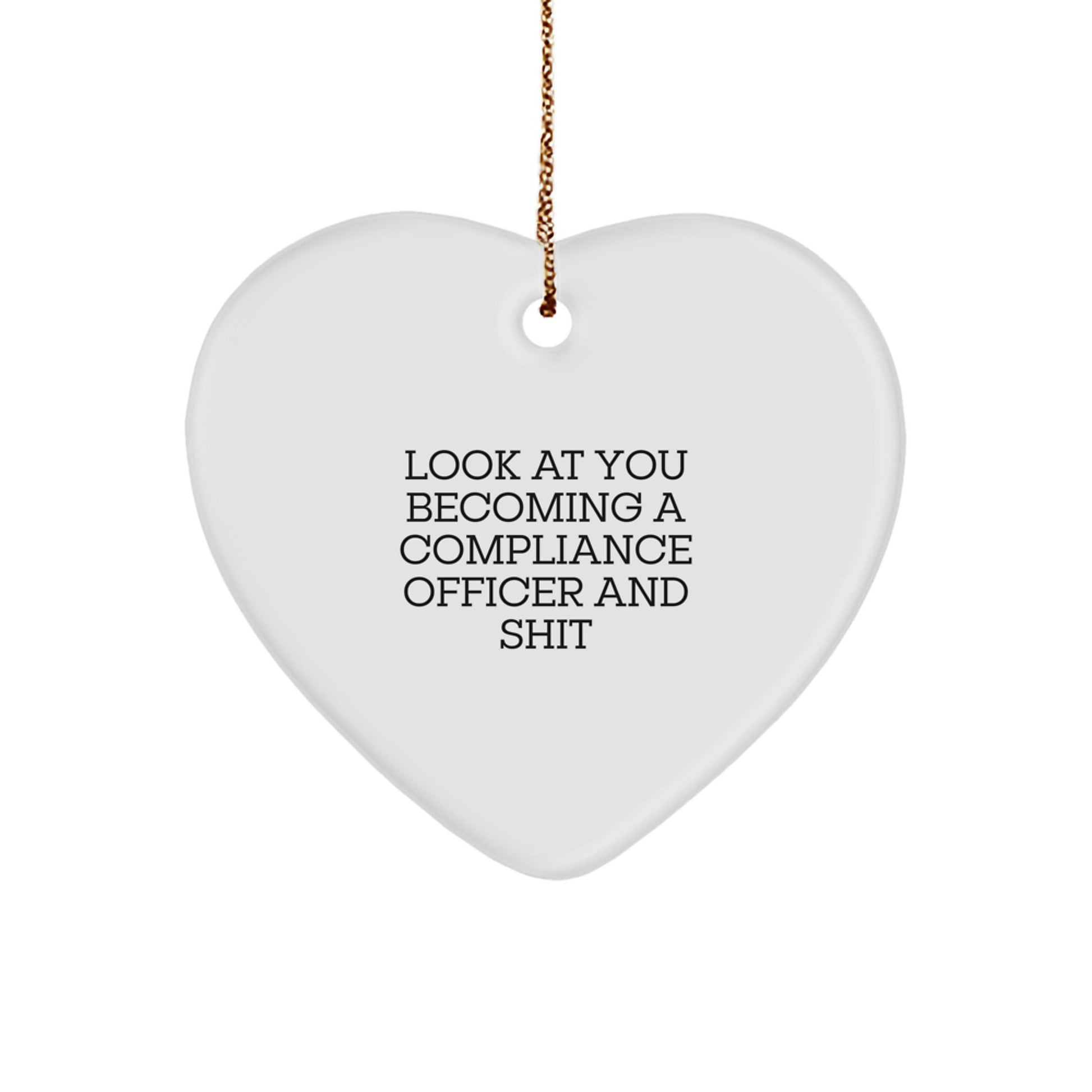 Funny Compliance Officer Gifts for Men, Heart Ornament with Sassy Quote 'Look At You Becoming A Compliance Officer And Shit', Christmas Unique Office Decor - Image 1
