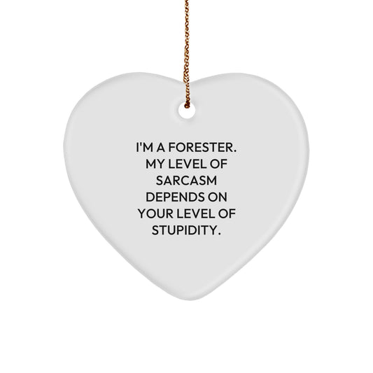 Funny Forester Gifts, Heart Ornament with Sarcasm Quote, Christmas Unique Gifts for Friends, Family, Coworkers, 'I'm A Forester. My Level Of Sarcasm Depends On Your Level Of Stupidity.' - Image 1