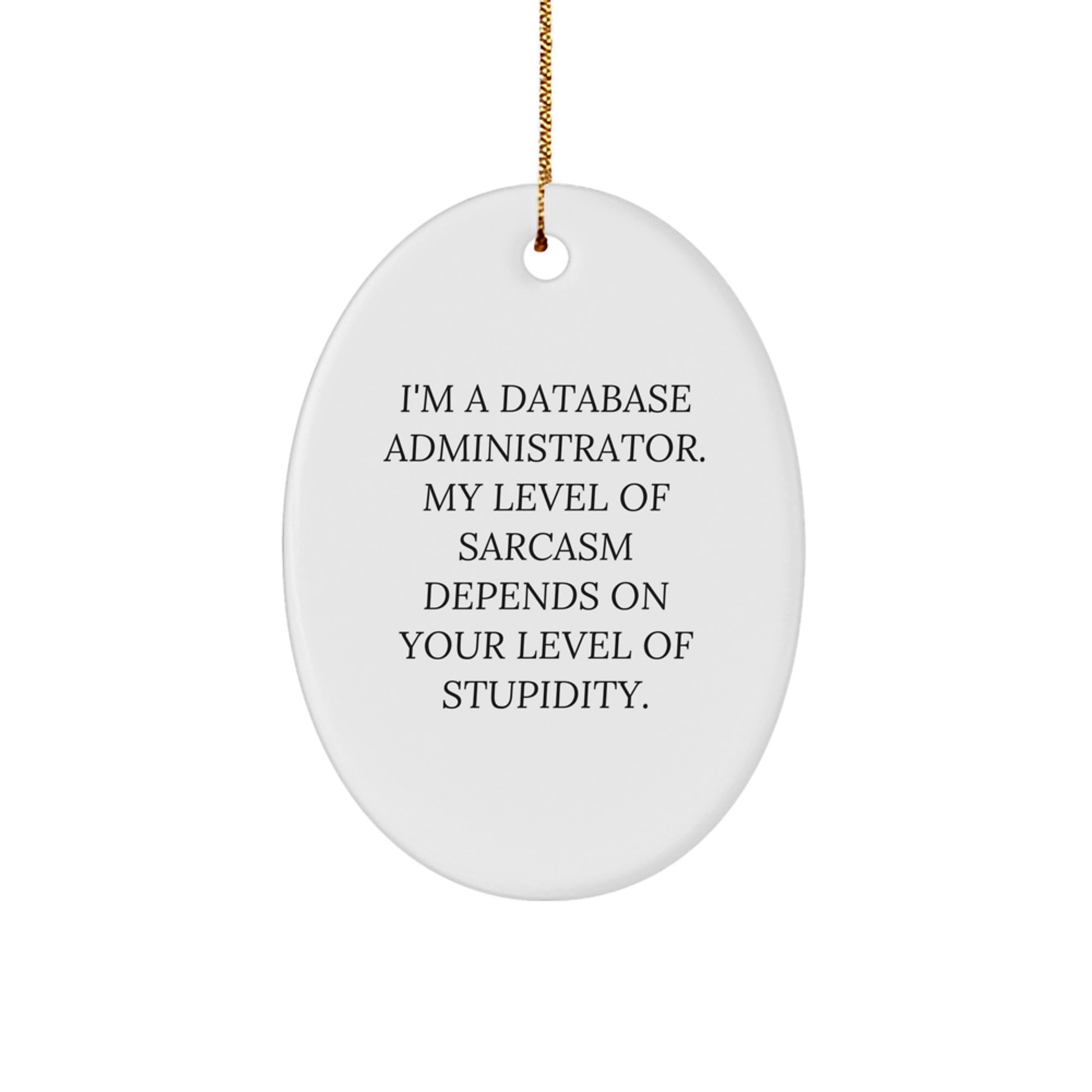 Funny Database Administrator Gifts from Friends, Christmas Unique Gifts for Him, Oval Ornament Quote 'I'm A Database Administrator. My Level Of Sarcasm Depends On Your Level Of Stupidity.' - Image 1