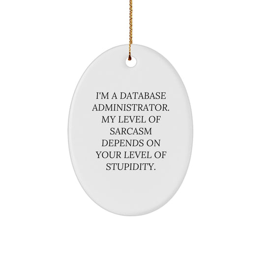 Funny Database Administrator Gifts from Friends, Christmas Unique Gifts for Him, Oval Ornament Quote 'I'm A Database Administrator. My Level Of Sarcasm Depends On Your Level Of Stupidity.' - Image 1