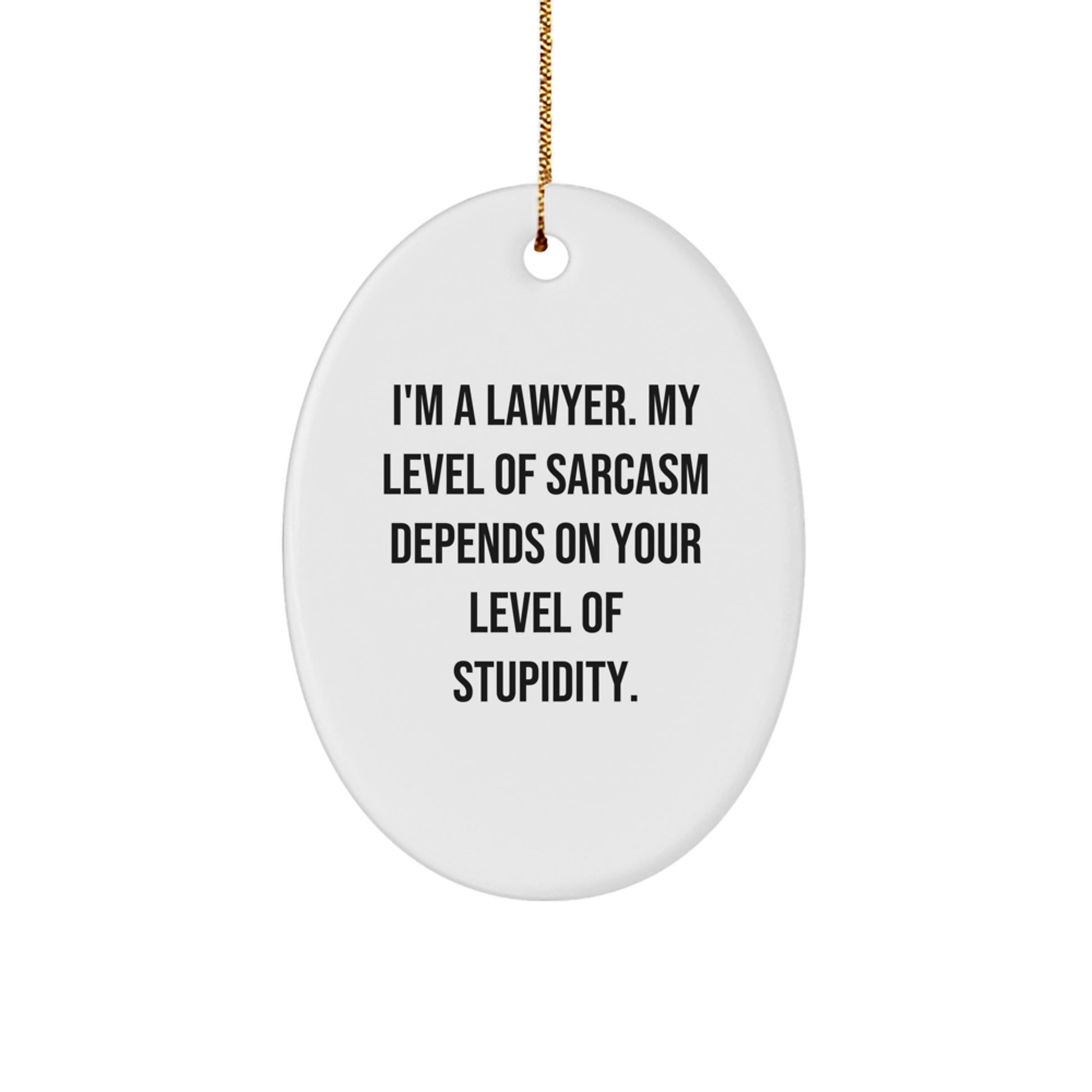 Funny Lawyer Oval Ornament, Gifts from Men to Lawyer Friends, Inspirational Sarcasm Quote, Christmas Unique Gifts - Image 1