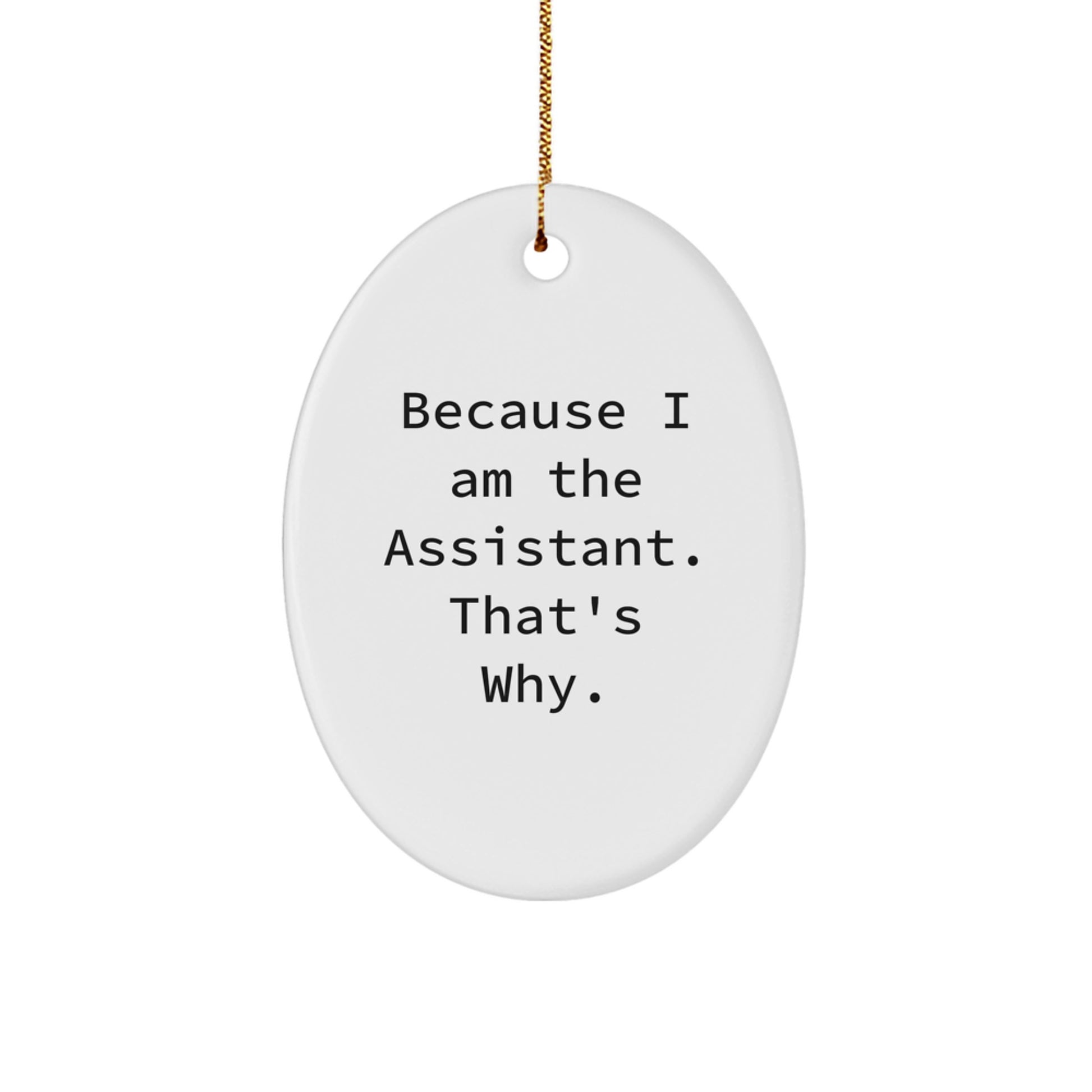 Funny Assistant Oval Ornament Gifts from Friends and Family for Assistant, Christmas Unique Gifts to Show Appreciation - Image 1