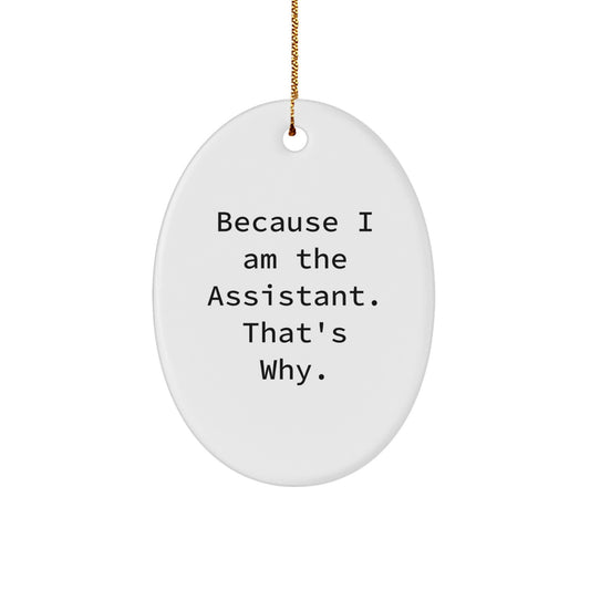 Funny Assistant Oval Ornament Gifts from Friends and Family for Assistant, Christmas Unique Gifts to Show Appreciation - Image 1