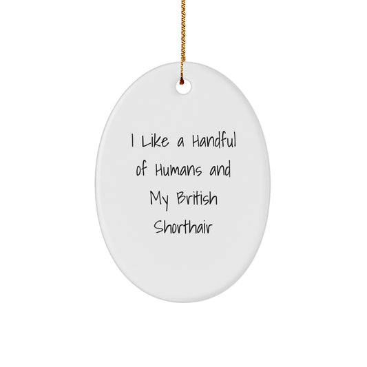 British Shorthair Cat Lover Gifts from Friends - I Like A Handful Of Humans And My British Shorthair, Oval Ornament for Christmas Unique Gifts - Image 1