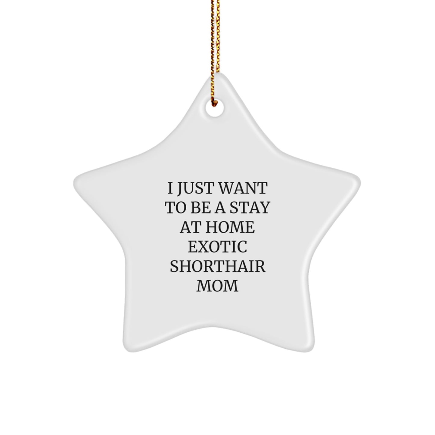 Exotic Shorthair Cat Mom Star Ornament Gifts from Men to Family for Christmas - Image 1