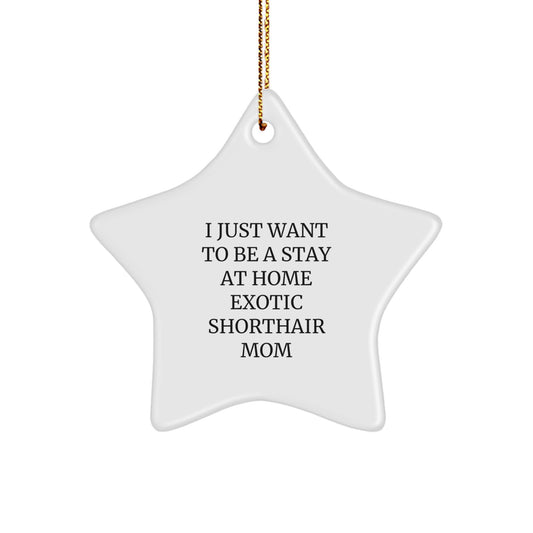 Exotic Shorthair Cat Mom Star Ornament Gifts from Men to Family for Christmas - Image 1