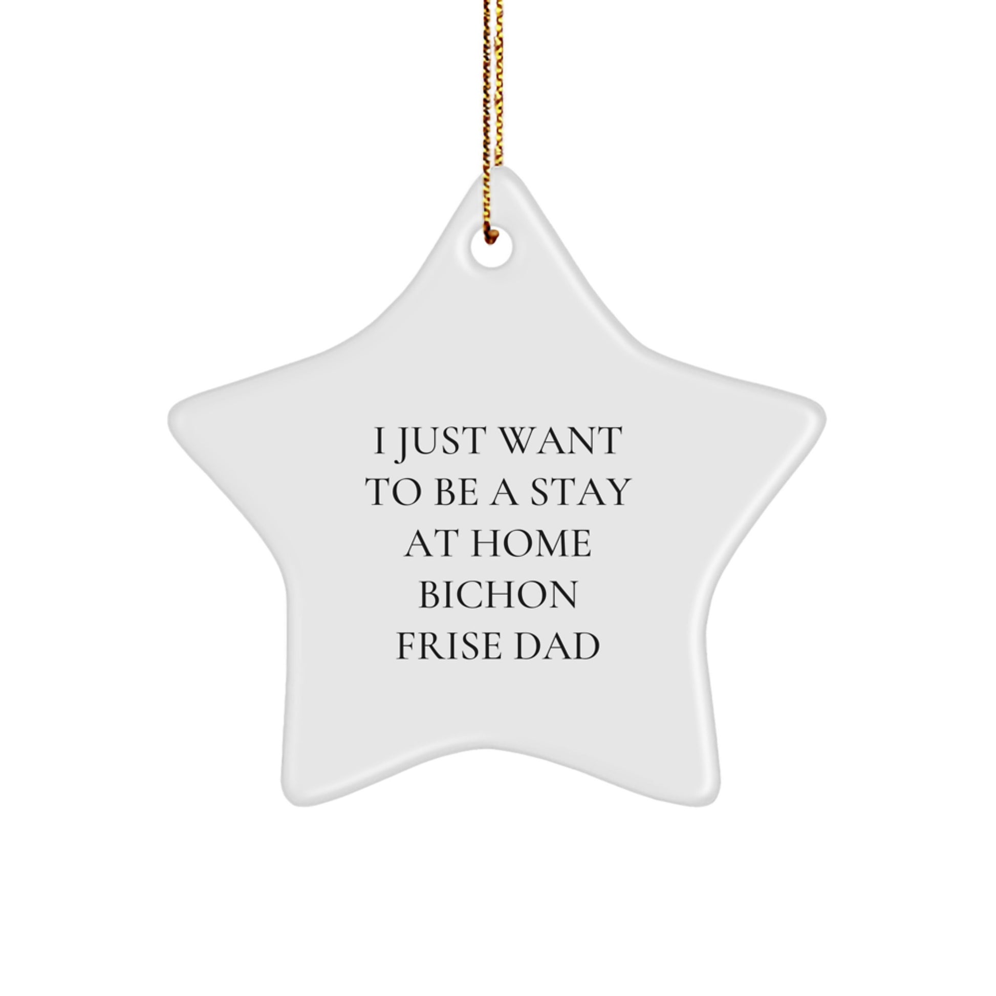 Bichon Frise Dog Lover Gifts from Men, Funny Star Ornament, I Just Want To Be A Stay At Home Bichon Frise Dad, Christmas Unique Gifts for Family, Friends, or Coworkers - Image 1