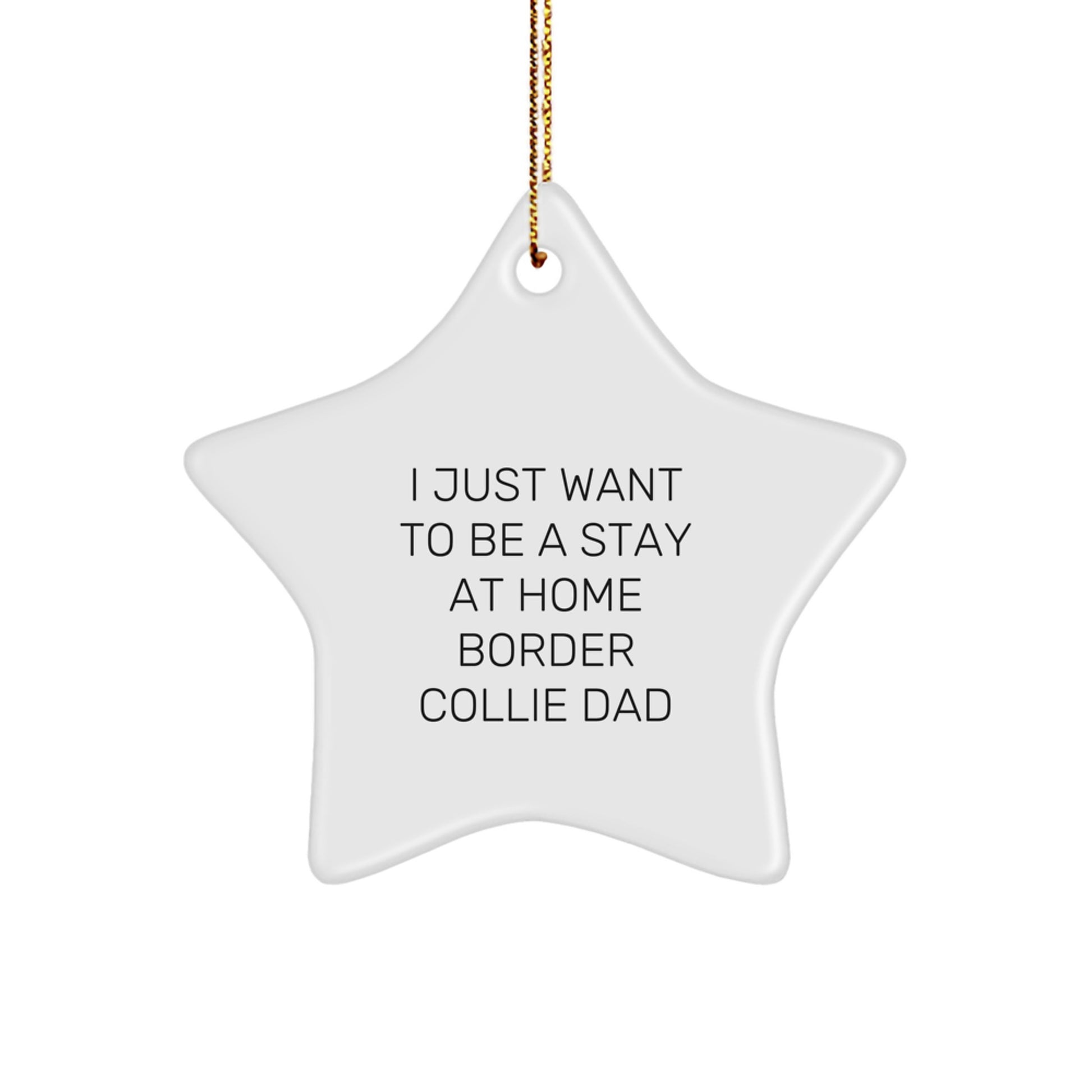 Funny Border Collie Dad Star Ornament, Gifts from Men to Friends, 'I Just Want To Be A Stay At Home Border Collie Dad', Christmas Unique Gifts for Border Collie Dog Enthusiasts, Star Shaped Ornament - Image 1
