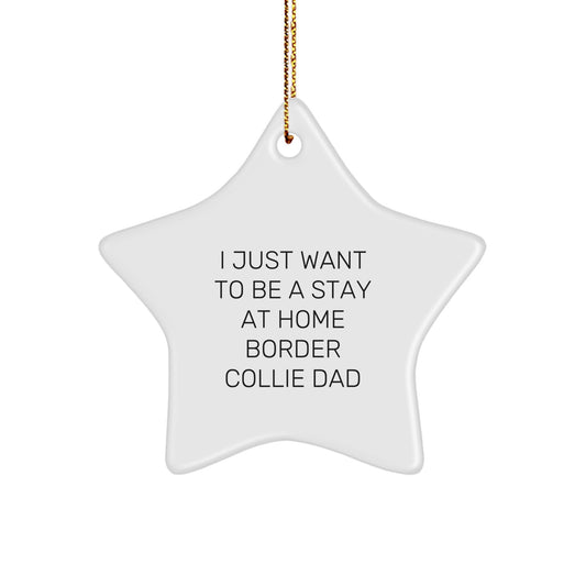 Funny Border Collie Dad Star Ornament, Gifts from Men to Friends, 'I Just Want To Be A Stay At Home Border Collie Dad', Christmas Unique Gifts for Border Collie Dog Enthusiasts, Star Shaped Ornament - Image 1