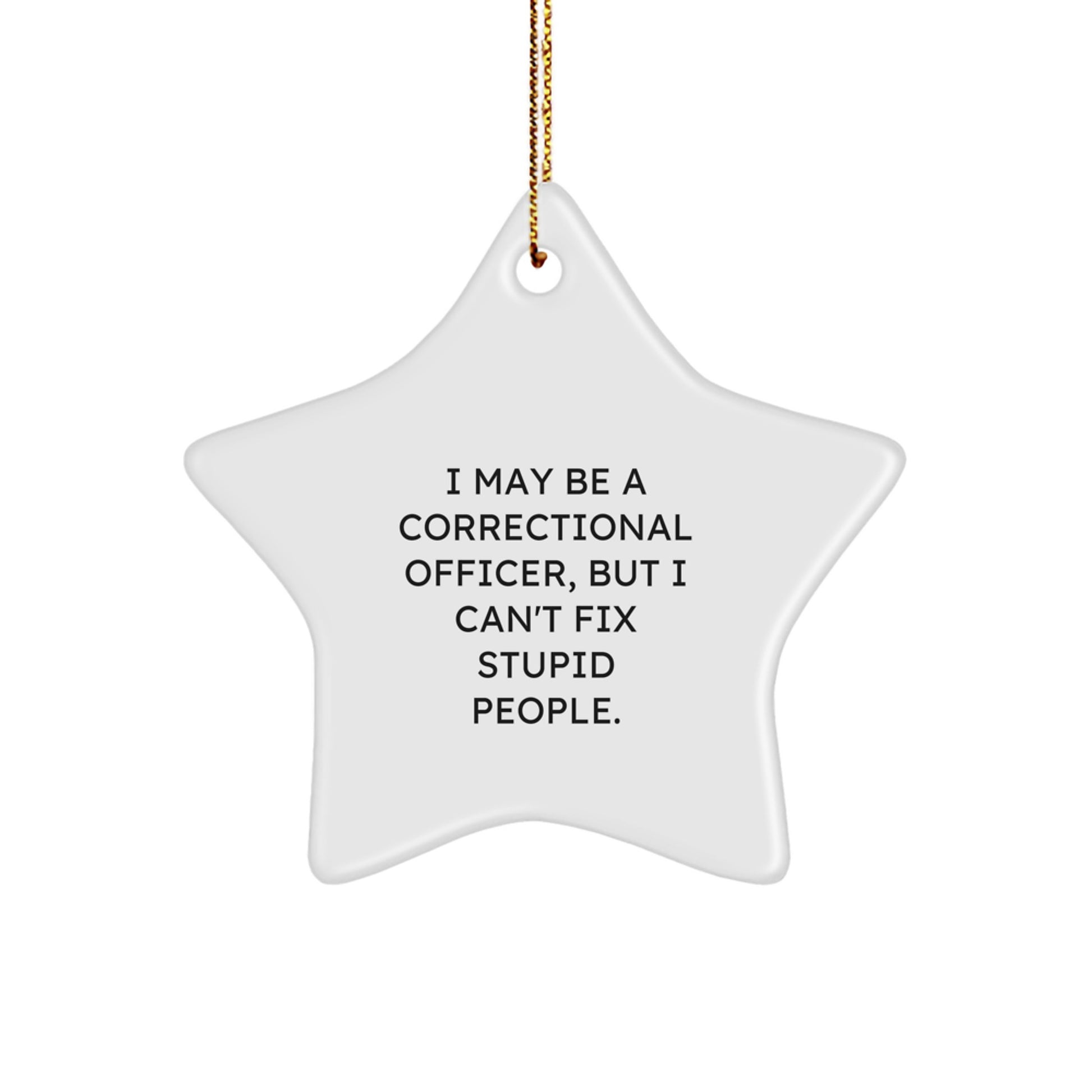 Funny Correctional Officer Gifts - 'I May Be A Correctional Officer, But I Can't Fix Stupid People.' Star Ornament for Christmas - Image 1