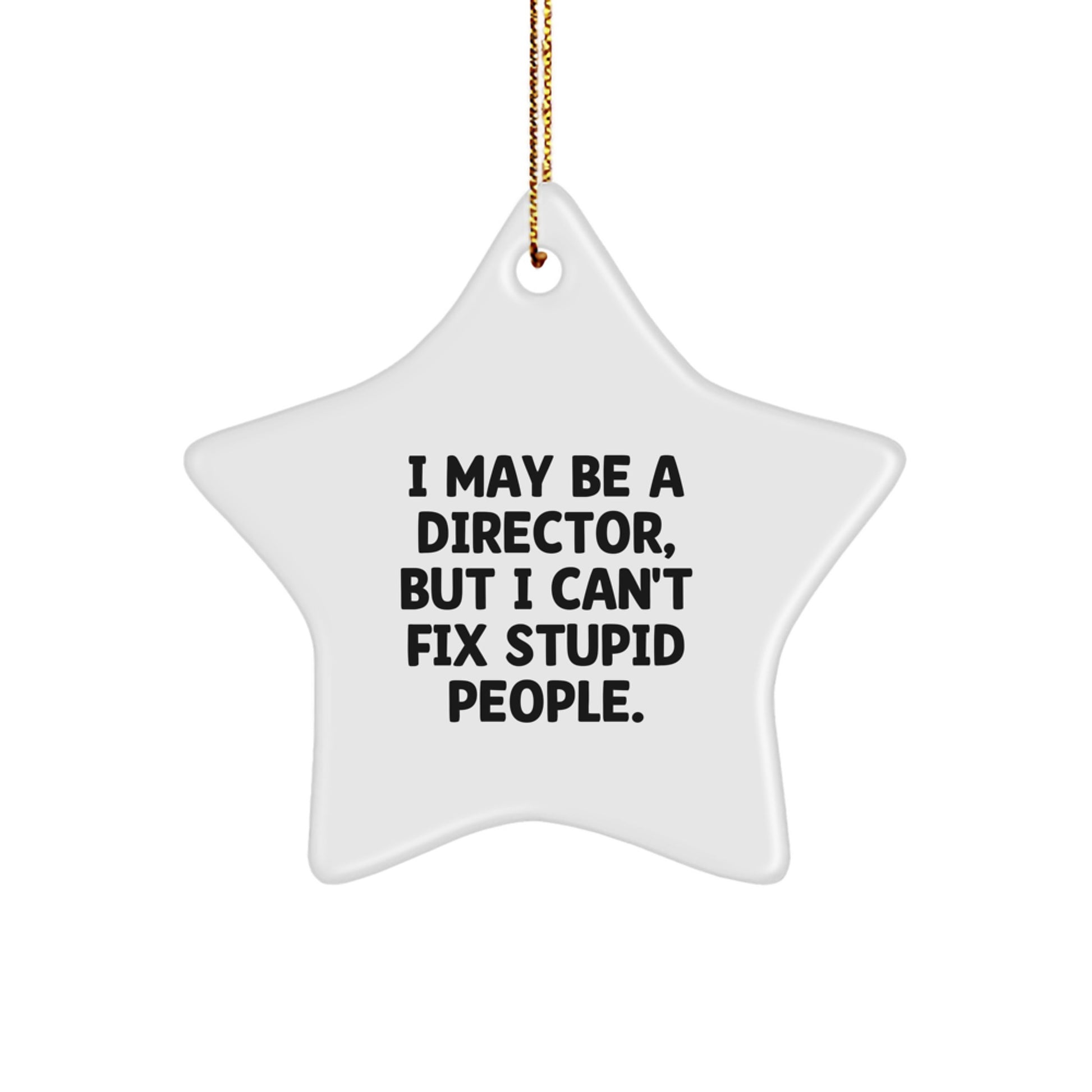 Funny Director Gifts from Friends, Christmas Unique Decorations Star Ornament, I May Be a Director But I Cant Fix Stupid People, Director Star Shaped White Christmas Unique Gift - Image 1