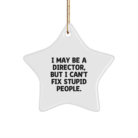 Funny Director Gifts from Friends, Christmas Unique Decorations Star Ornament, I May Be a Director But I Cant Fix Stupid People, Director Star Shaped White Christmas Unique Gift - Image 1