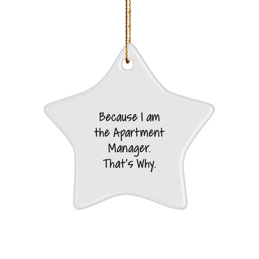 Funny Star Ornament Gifts from Apartment Manager Friends and Family, Christmas Unique Gifts for Men Women Coworkers, Inspirational Quotes Star Decoration - Image 1