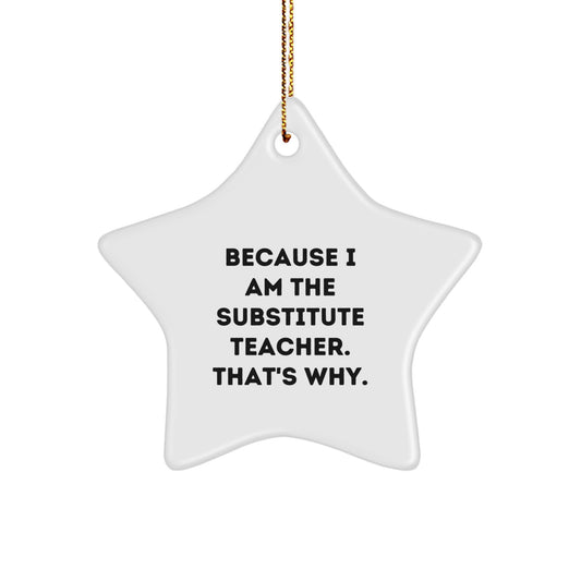 Funny Substitute Teacher Gifts for Men, because I Am The Substitute Teacher. That's Why., Star Ornament, Christmas Unique Gifts from Friends - Image 1