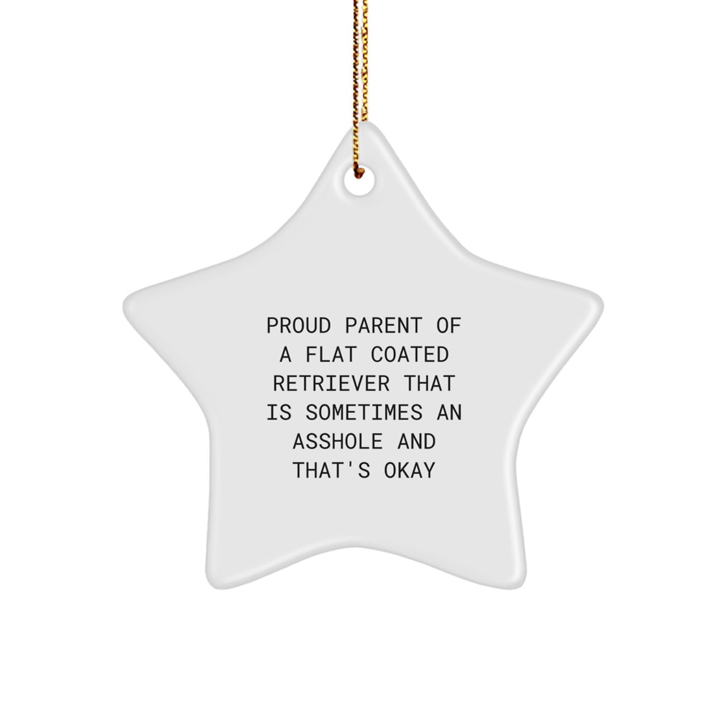Funny Flat Coated Retriever Dog Gifts from Proud Parents to Friends at Christmas - Star Ornament with Humorous Quote - Image 1