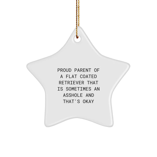 Funny Flat Coated Retriever Dog Gifts from Proud Parents to Friends at Christmas - Star Ornament with Humorous Quote - Image 1