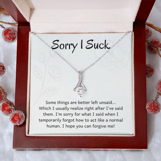 I'm Sorry Gift - Apology Gift Necklace for Her - Please Forgive Me Gift - Wife, Friend, Girlfriend - Forgiveness, Apologize Necklace