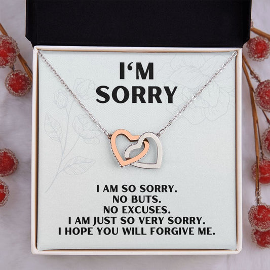 I'm Sorry Gift - Apology Gift Necklace For Her - Please Forgive Me Gift - Girlfriend, Wife, Friend - Forgiveness, Apologize Necklace