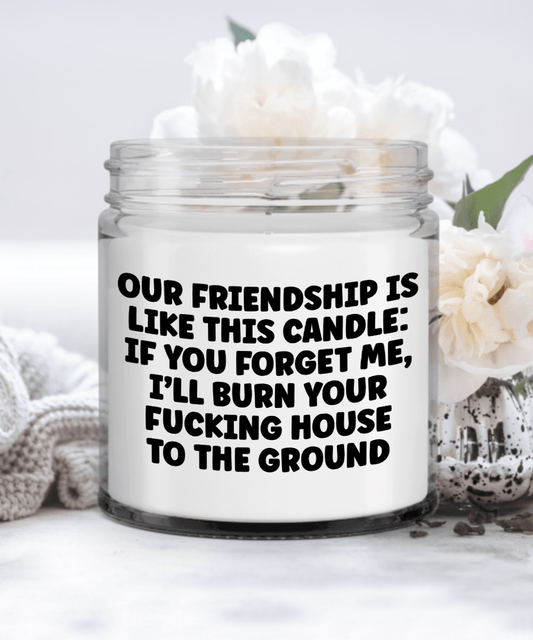 Funny Best Friend Candle Gift, Cursing Birthday Present, Christmas Friendship Gift, Bestie BFF Gift Candle