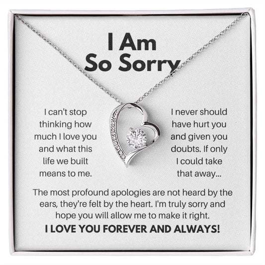 I Am So Sorry Necklace - Apology Gift - I Apologize Forgive Me - Forever Love Forgiveness Jewelry 14k White Gold Finish / Standard Box