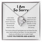 I Am So Sorry Necklace - Apology Gift - I Apologize Forgive Me - Forever Love Forgiveness Jewelry 14k White Gold Finish / Standard Box