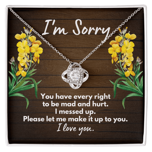 I'm Sorry Gift - Apology Necklace - Forgiveness Gift - Wife Apology, Girlfriend Apology, Friend Apology - Please Forgive Me 14K White Gold Finish / Standard Box