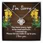 I'm Sorry Gift - Apology Necklace - Forgiveness Gift - Wife Apology, Girlfriend Apology, Friend Apology - Please Forgive Me 14K White Gold Finish / Standard Box